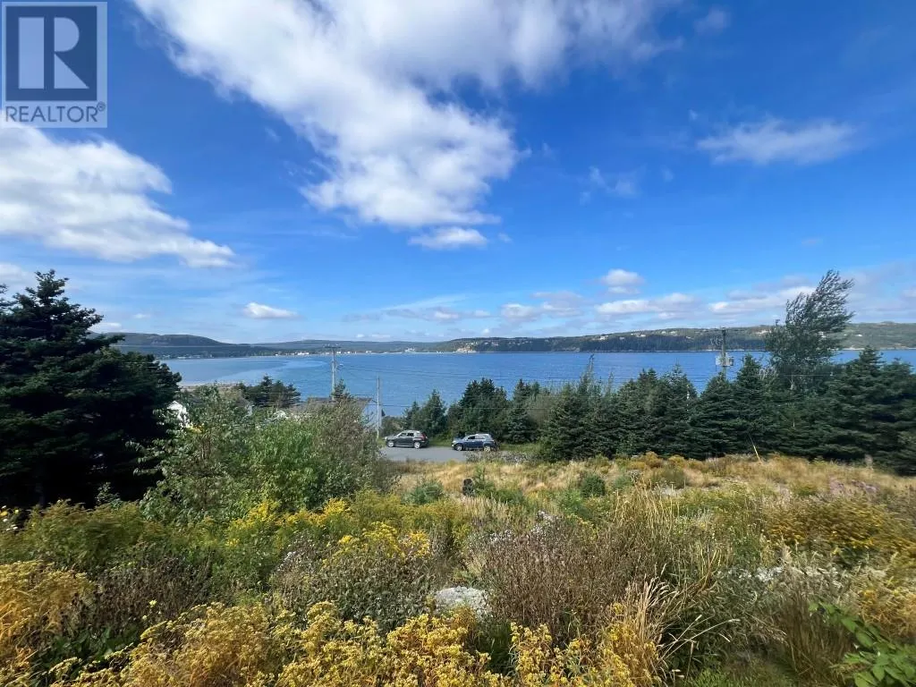 98 - 100 Salmon Cove Road, South River, Newfoundland & Labrador A0A 3W0