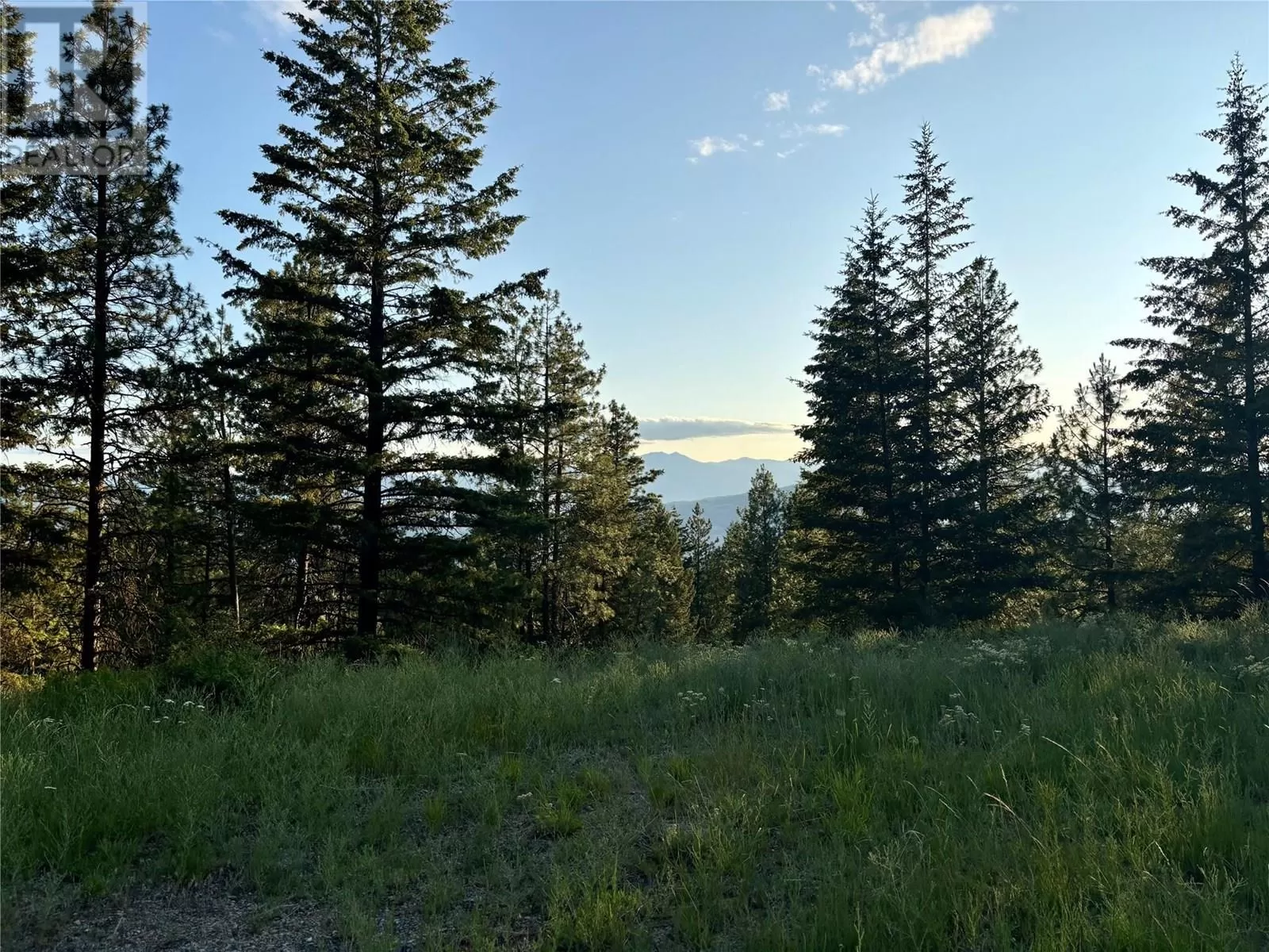 Other for rent: 980 Bullmoose Way, Osoyoos, British Columbia V0H 1V6