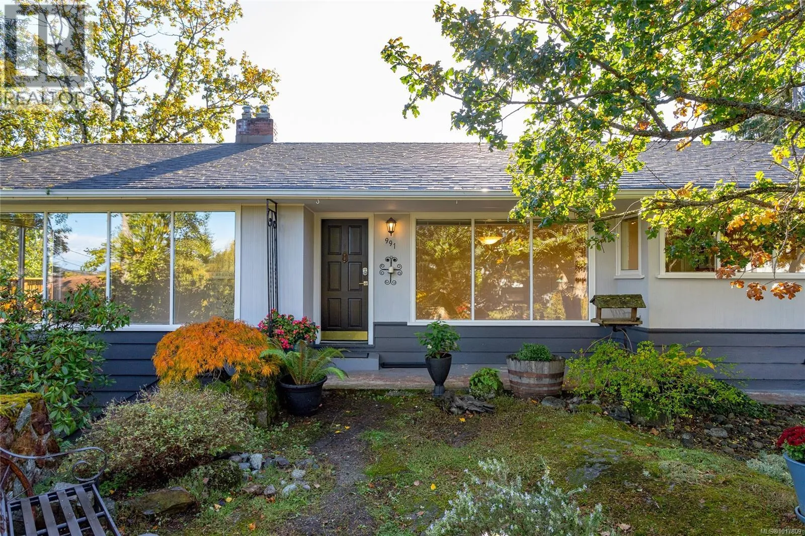 House for rent: 991 Snowdrop Ave, Saanich, British Columbia V8Z 2N6