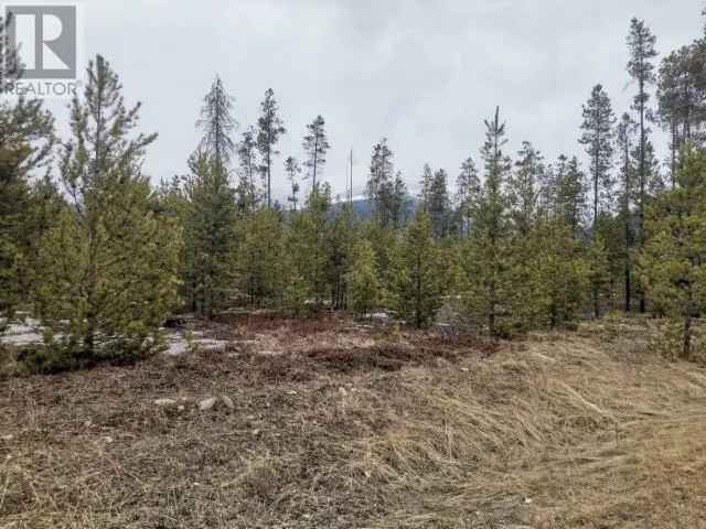 995 S Cranberry Lake Road, Valemount, British Columbia V0E 2Z0
