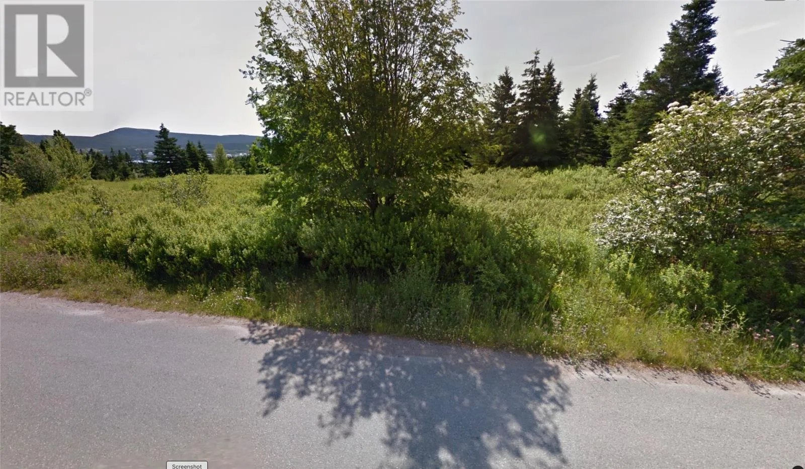 9a Woodford's Station Road, Holyrood, Newfoundland & Labrador A0A 2R0