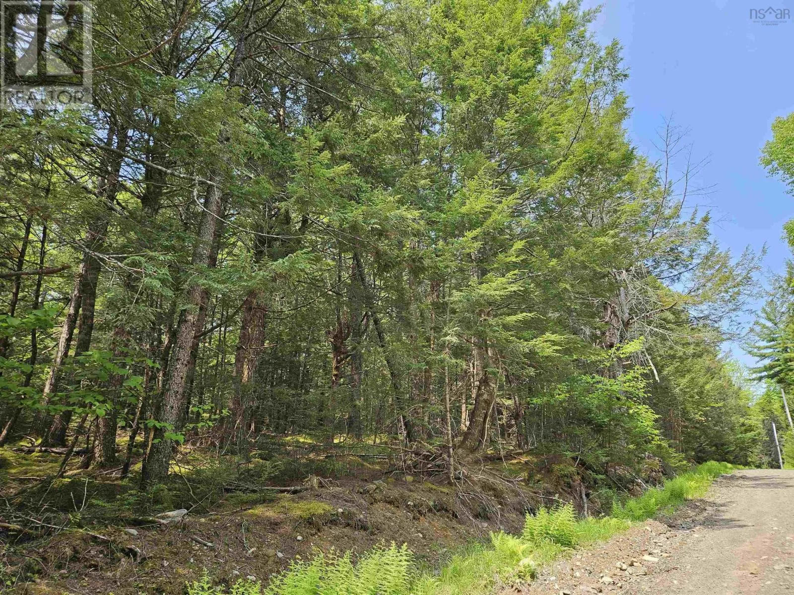 9b Cottage Lane, Pleasantfield, Nova Scotia B0T 1X0