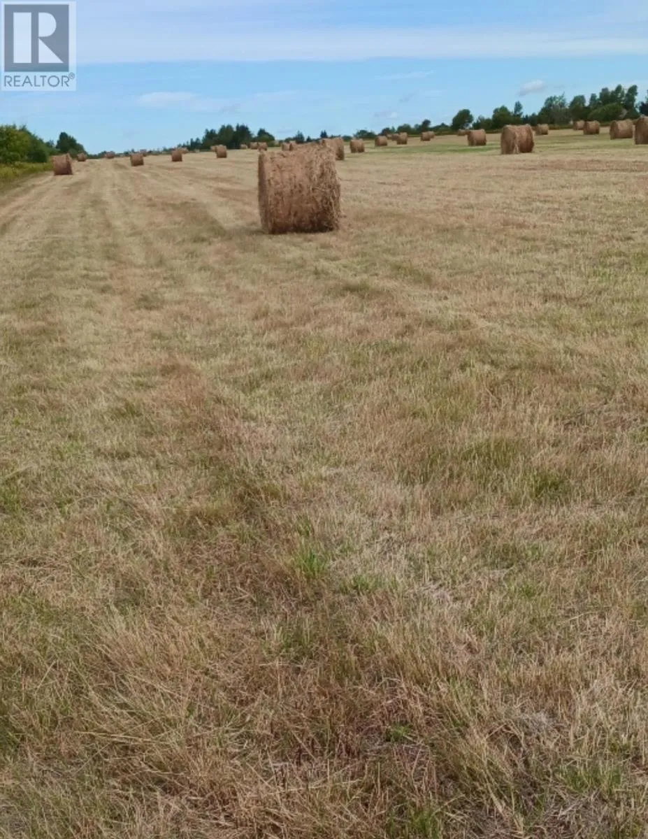 Acreage Cape Bear Road, White Sands, Prince Edward Island C0A 1W0