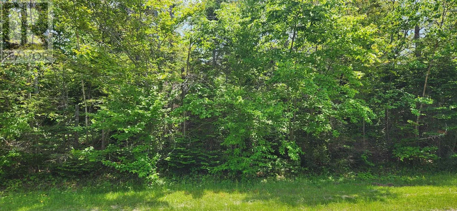 Acreage Greys Road Road, Wood Islands, Prince Edward Island C0A 1R0