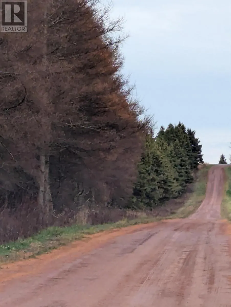 Acreage Jack Eloi Road, St. Chrysostome, Prince Edward Island C0B 1Y0