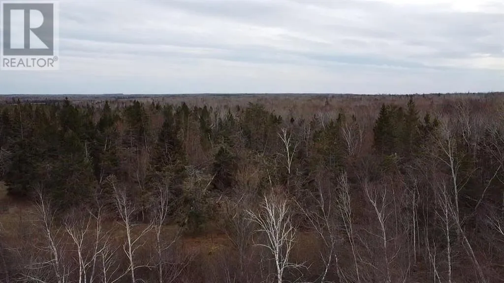 Acreage Peakes Road, Riverton, Prince Edward Island C0A 1S0