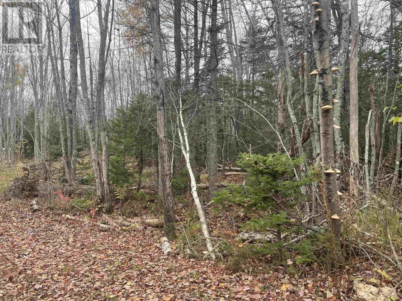 Allen Road|route 122, South West Lot 16, Prince Edward Island C0B 1T0