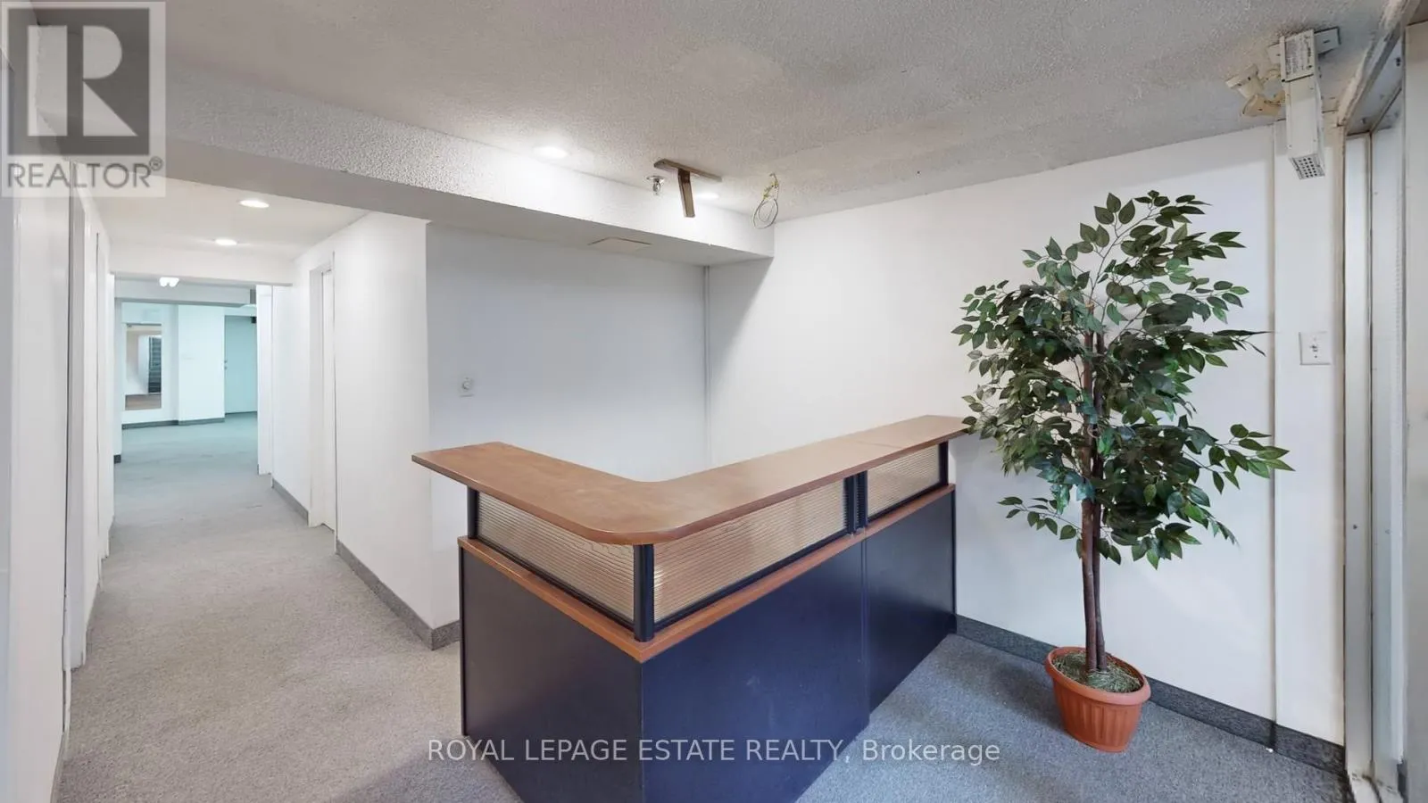 Offices for rent: B101 - 2558 Danforth Avenue, Toronto, Ontario M4C 1L3