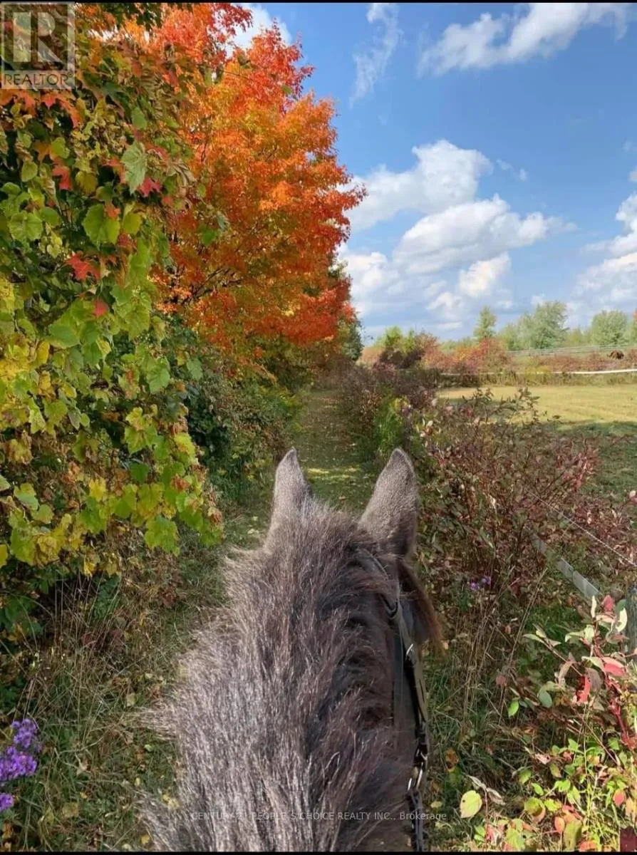 Barn And Arena - 18743 St Andrews Road N, Caledon, Ontario L7K 2E3