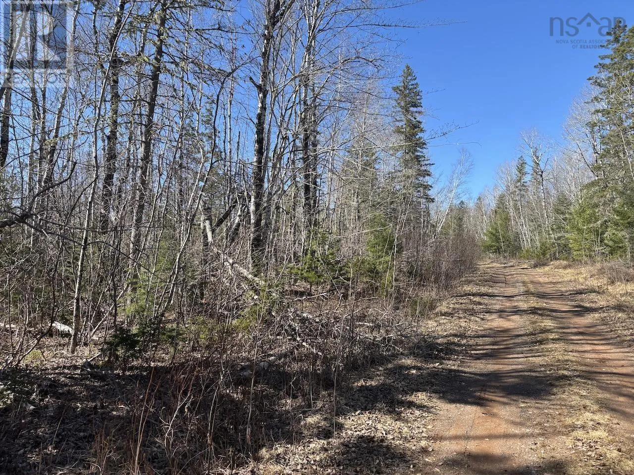 Black Lake, No 104 Highway, Black Lake, Nova Scotia B0M 1X0