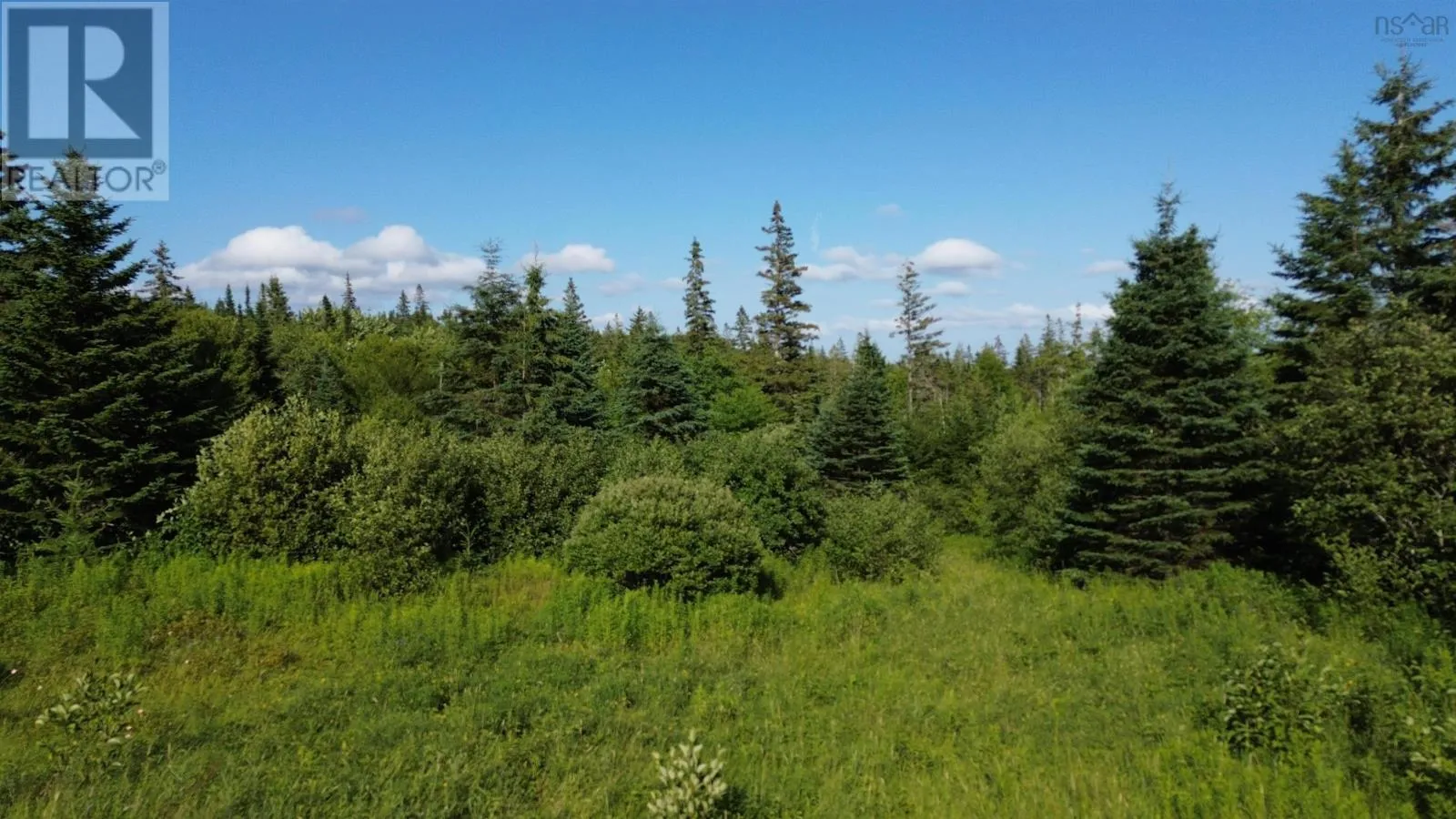 Black River Road, Grande Anse, Nova Scotia B0E 1V0