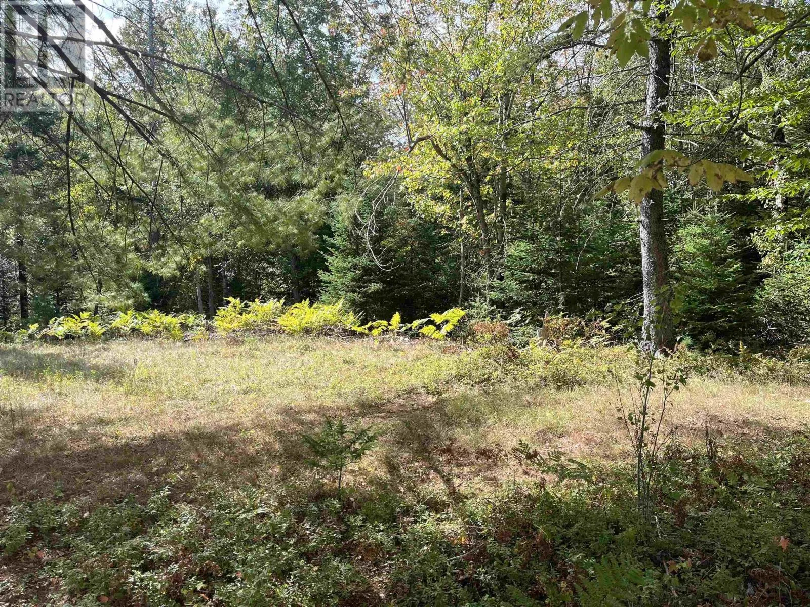 Block A Highway 325, West Clifford, Nova Scotia B4V 8J2