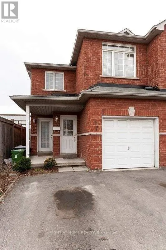 House for rent: Bsmt - 11 Oliti Crt Court, Toronto, Ontario M9L 3A3