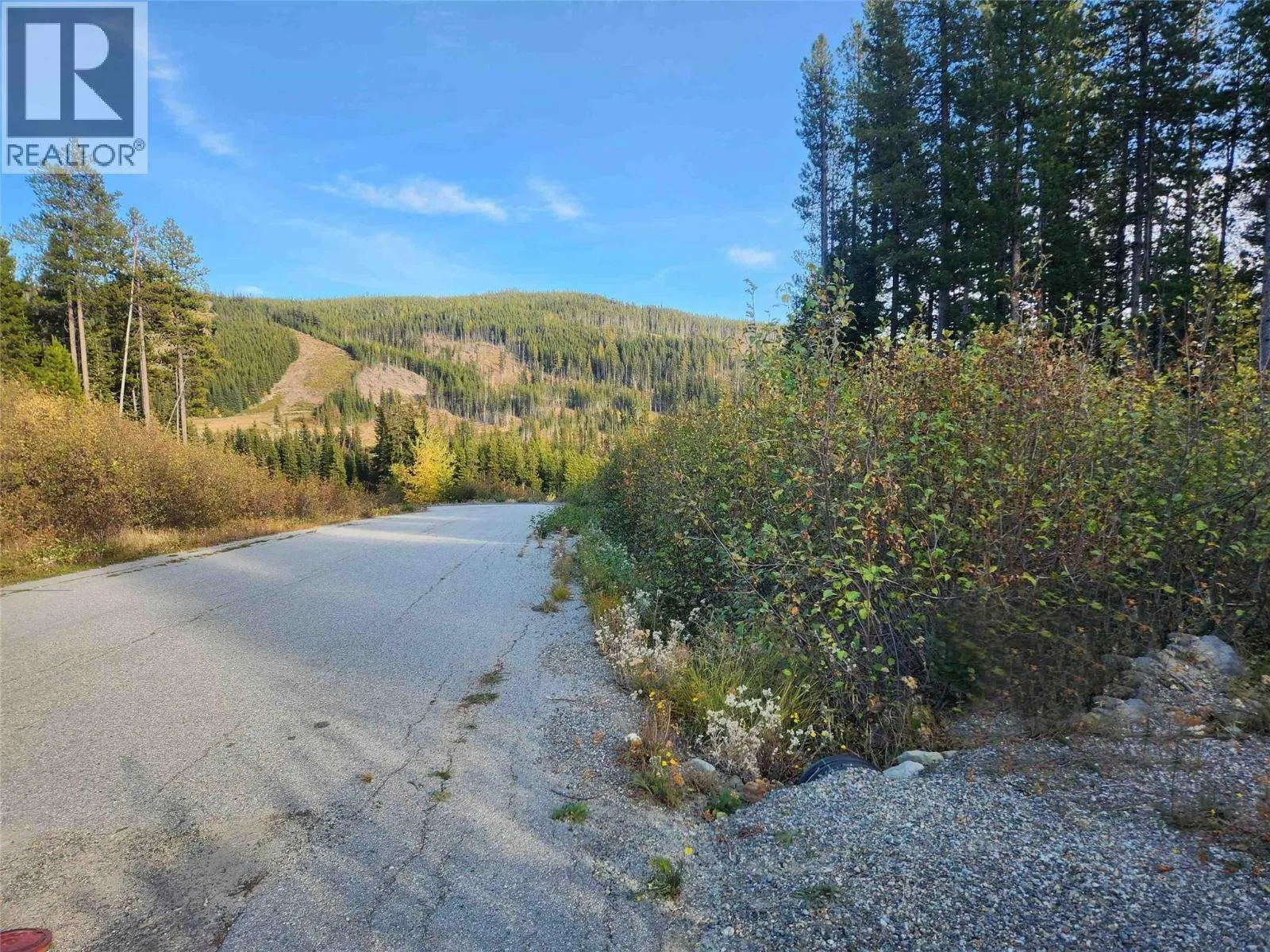 Other for rent: Buck Road Lot# 21, Oliver, British Columbia V0H 1T8