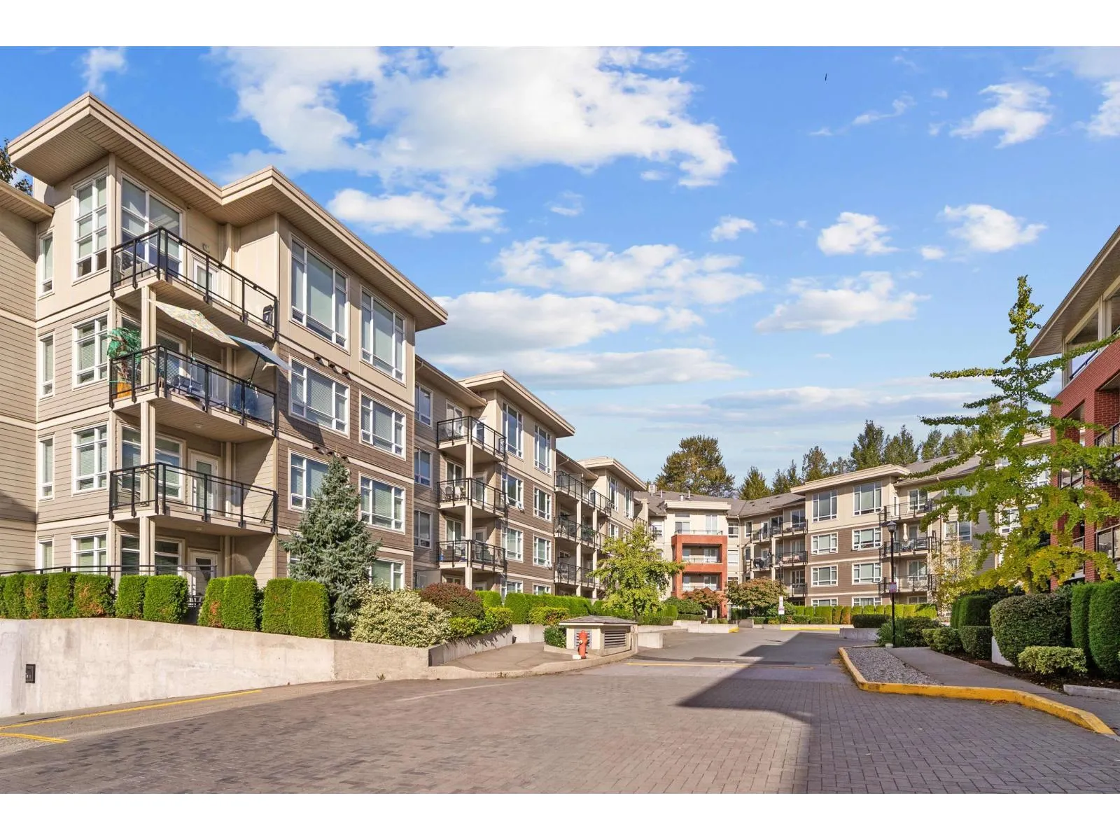 Apartment for rent: C125 20211 66 Avenue, Langley, British Columbia V2Y 0L4