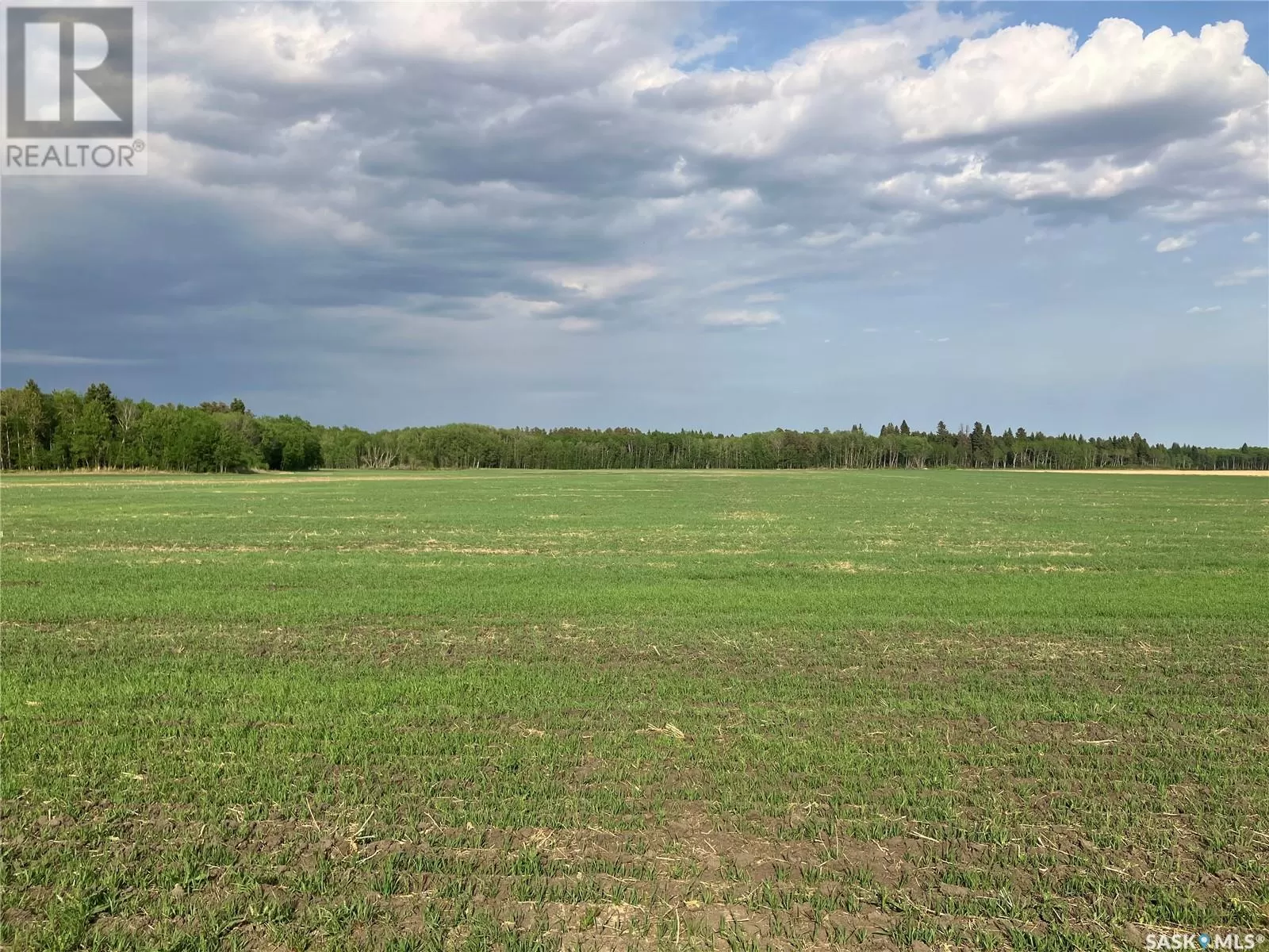 Unknown for rent: Clark Land, Moose Range Rm No. 486, Saskatchewan S0E 1E0