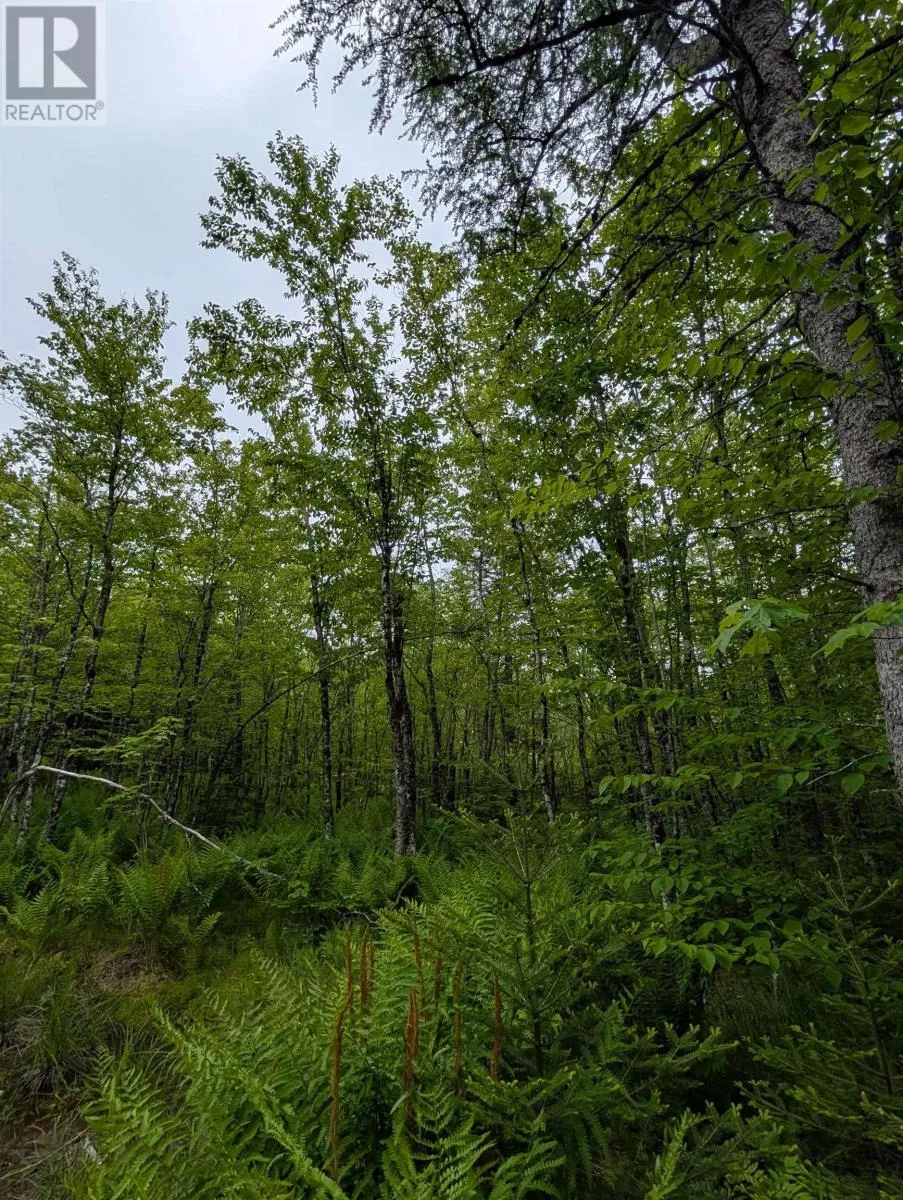 Cm2j Lot Cm2j Mckenzie Lane, Mount Uniacke, Nova Scotia B0N 1Z0