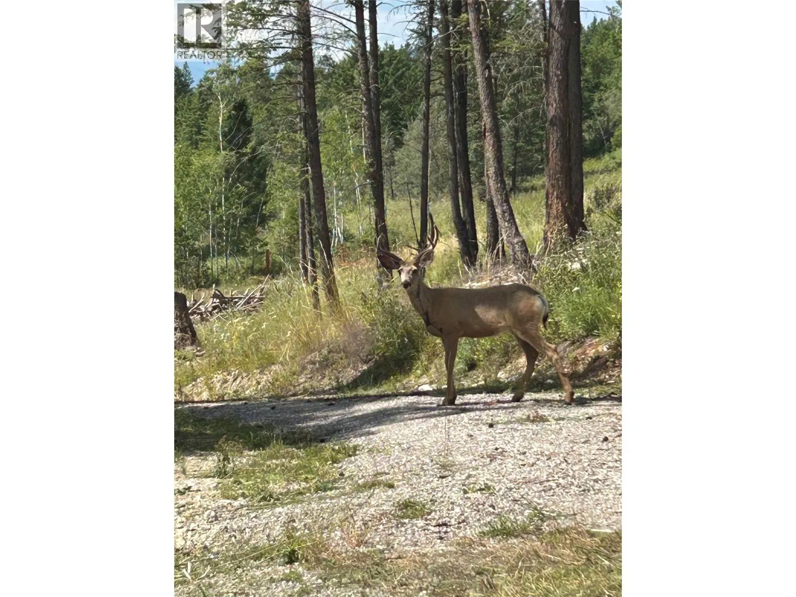 Other for rent: Csokony Road, Spur Valley, British Columbia V0A 1E0