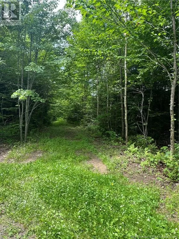 Dagnino Road, Snider Mountain, New Brunswick E5P 1J8
