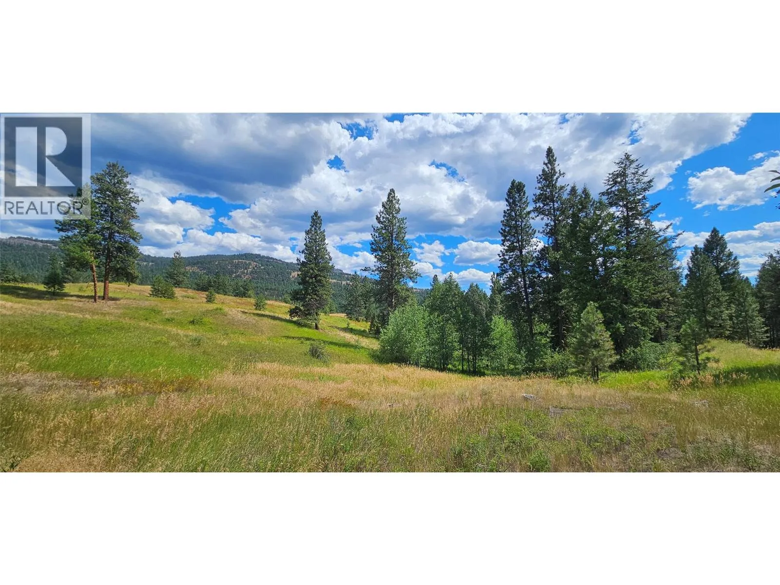 Other for rent: Dl 311s Nicholson Creek Road Unit# Lot A, Rock Creek, British Columbia V0H 1Y0