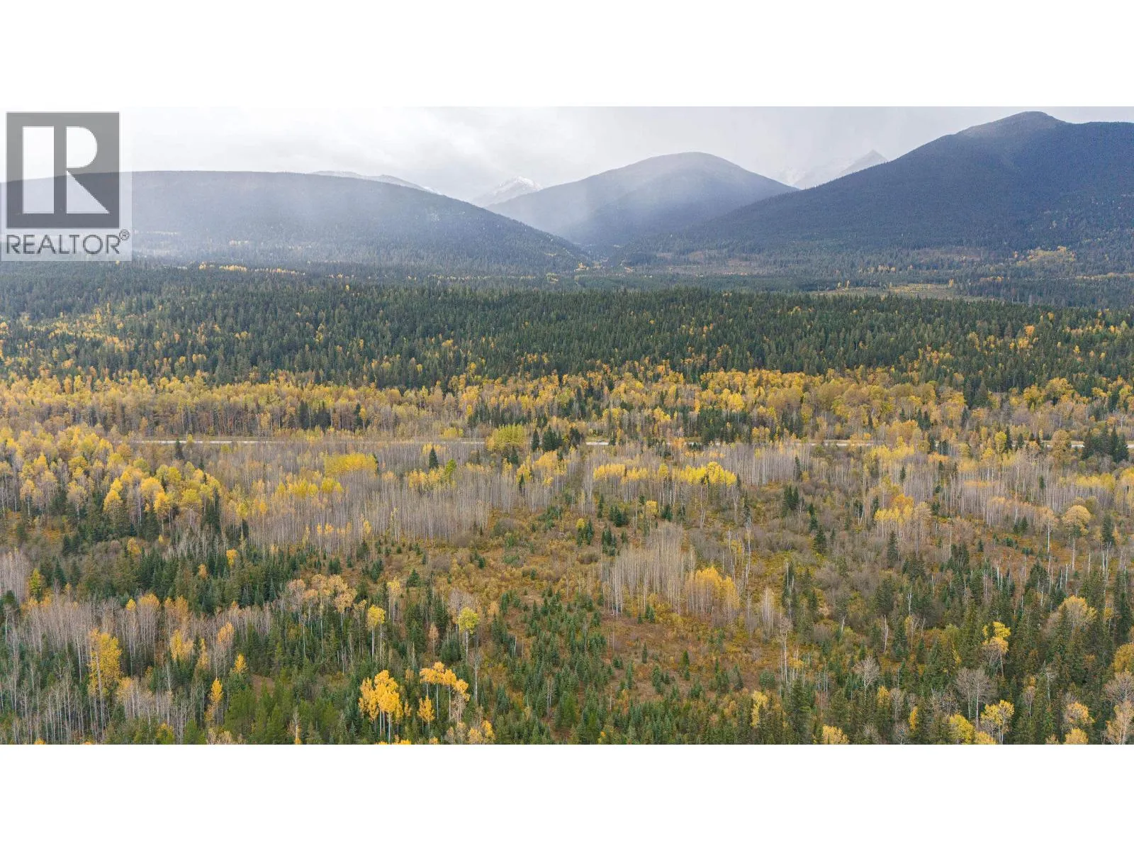 Dl 7054 W 16 Highway, McBride, British Columbia V0J 2E0