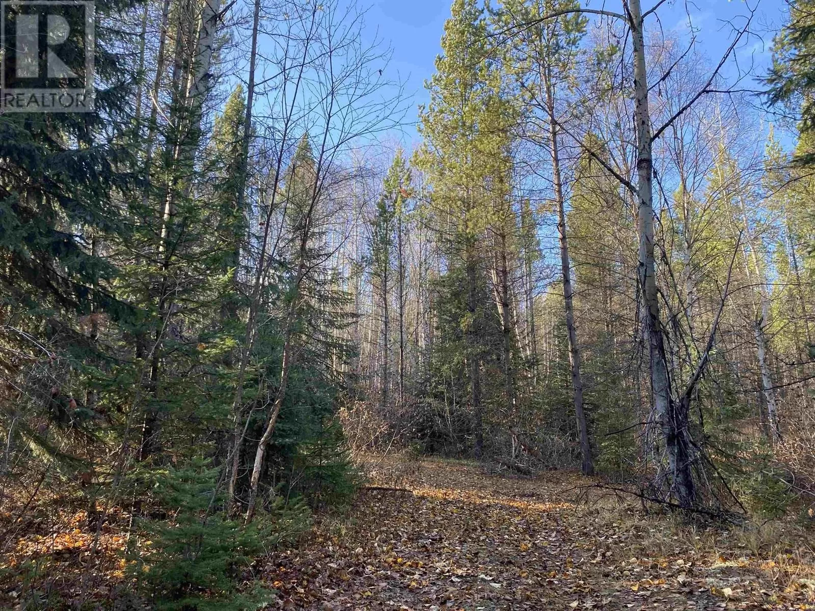 Dl 7363 Cranberry Lake Road, Valemount, British Columbia V0E 2Z0