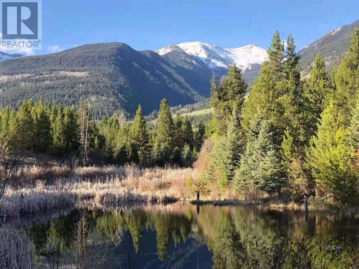 Dl 882 5 Highway, Valemount, British Columbia V0E 2Z0