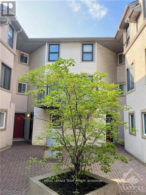 Row / Townhouse for rent: E - 41 Anderson Street, Ottawa, Ontario K1R 6T6