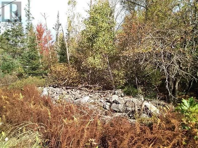 East Clifford Road, East Clifford, Nova Scotia B4V 1Y7