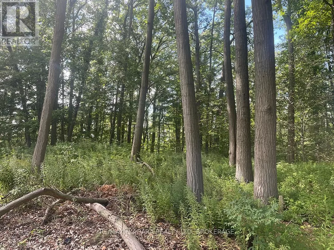 E/s Firelane 3 Road, Port Colborne, Ontario L3K 5V5