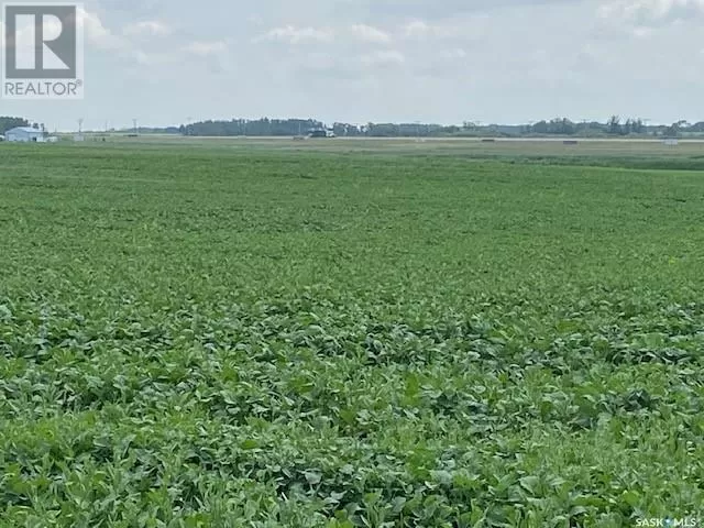 Ferguson Land, Moosomin Rm No. 121, Saskatchewan S0G 3N0