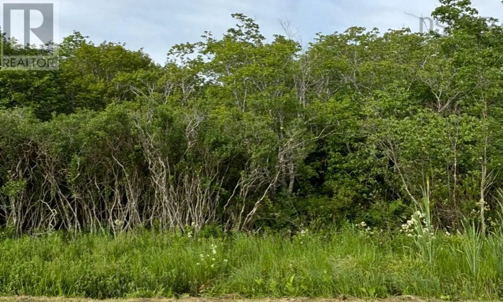 Highway 1, Church Point, Nova Scotia B0W 1M0