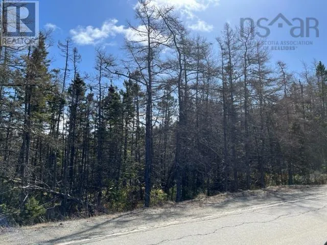 Highway 206, Martinique, Nova Scotia B0E 1K0