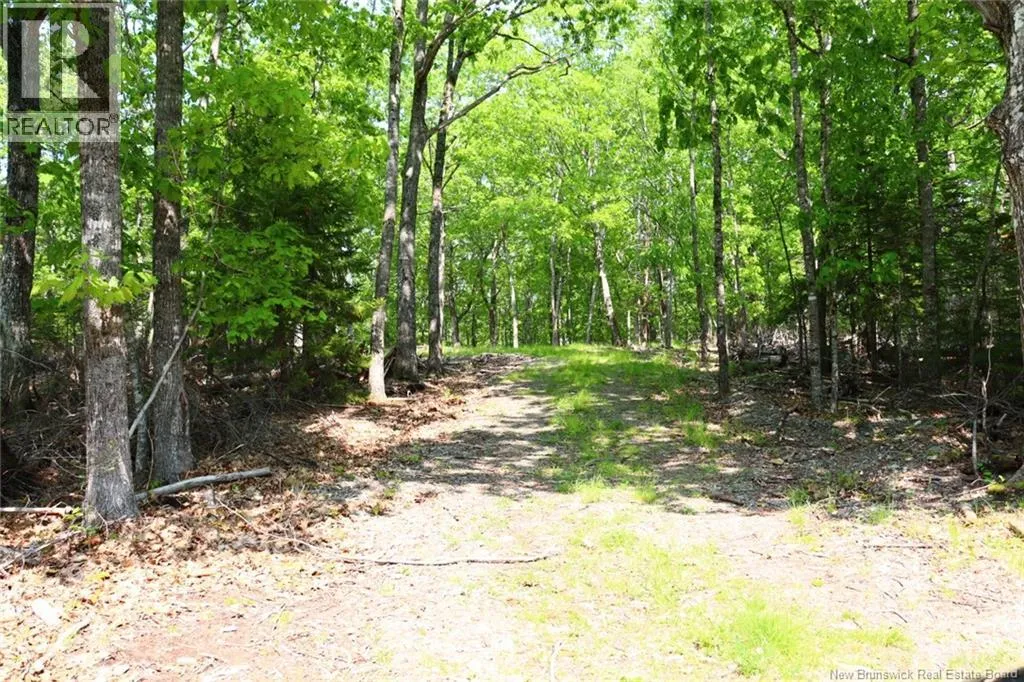 Hills Point Road, St. Stephen, New Brunswick E3L 4K5