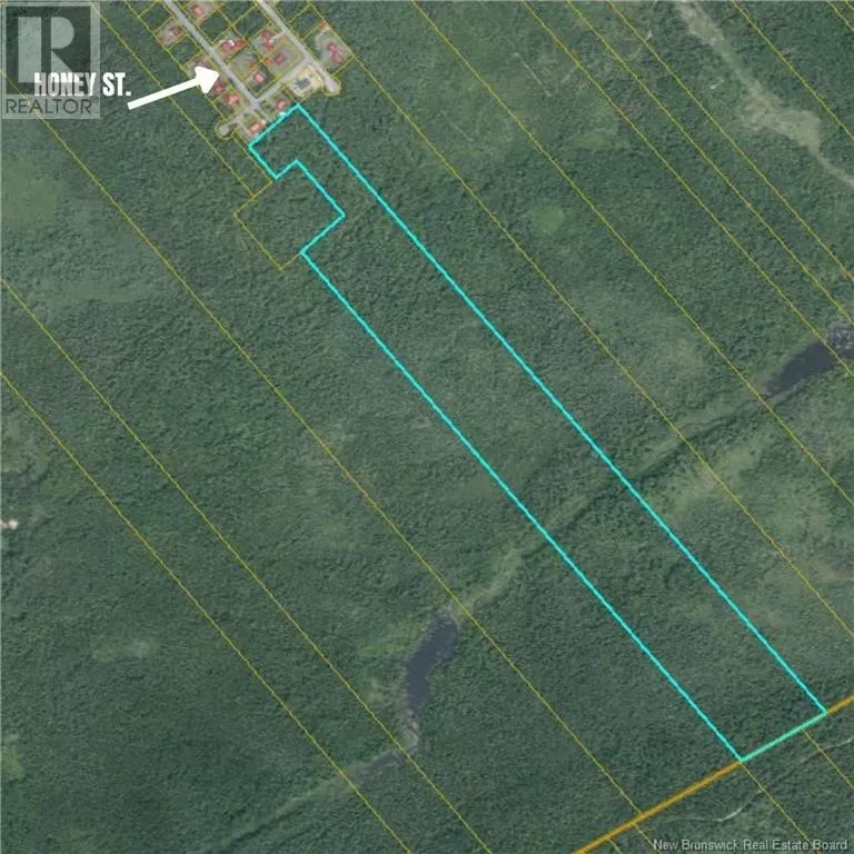 Honey Street, Miramichi, New Brunswick E1N 3N6