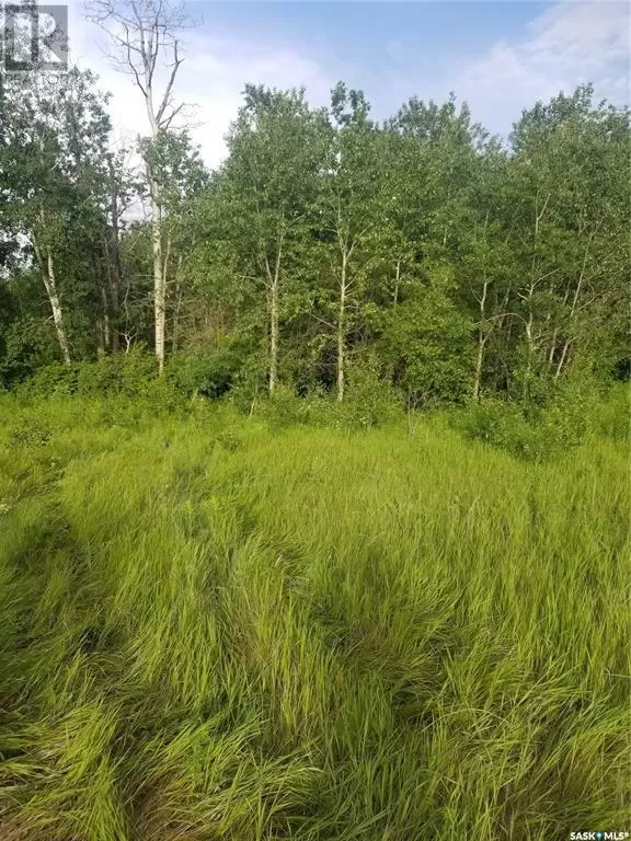 Unknown for rent: Hurl Land, Canwood Rm No. 494, Saskatchewan S0J 2G0