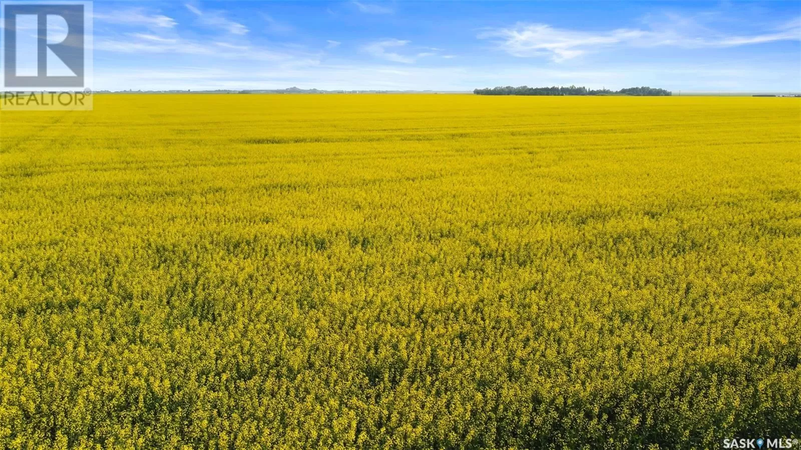 Unknown for rent: Hwy 6 Regina North Development Quarter #1, Sherwood Rm No. 159, Saskatchewan S4P 3C7