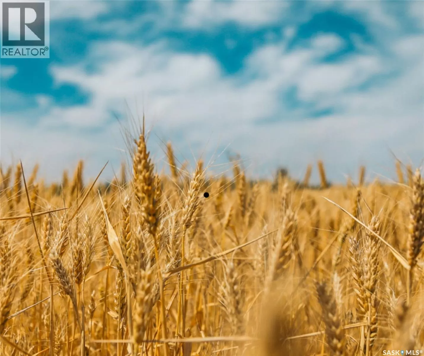 Unknown for rent: Konotopetz Quarter Farmland, Perdue Rm No. 346, Saskatchewan S0K 3C0