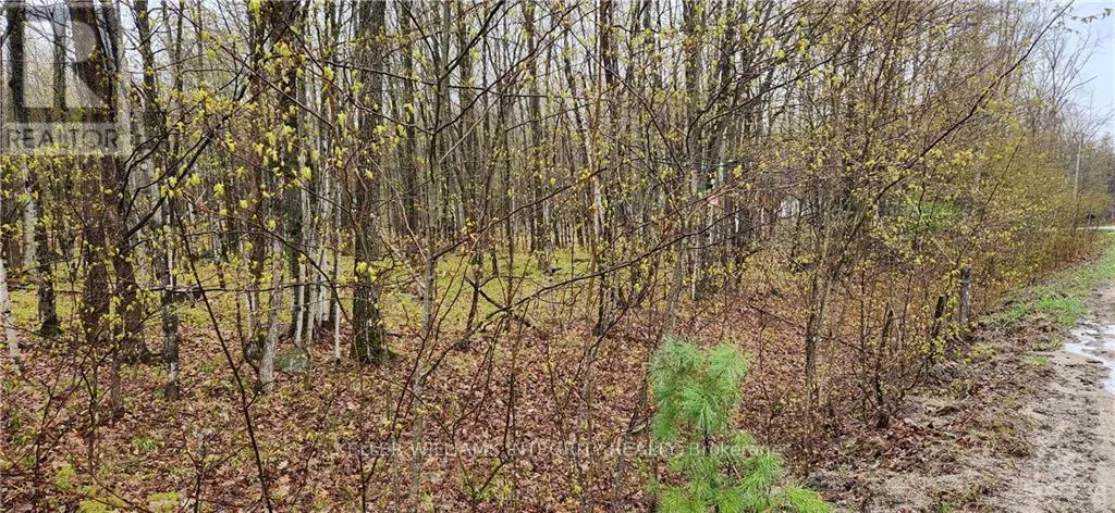 L 10/11 Hollie Drive, Lanark Highlands, Ontario K0G 1M0