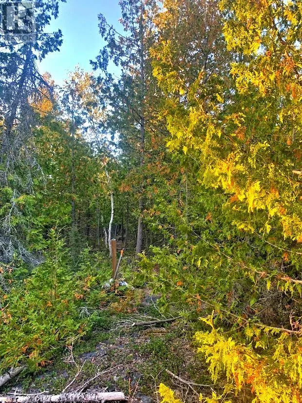 L17c8 Evergreen Drive, Spring Bay, Ontario P0P 2B0