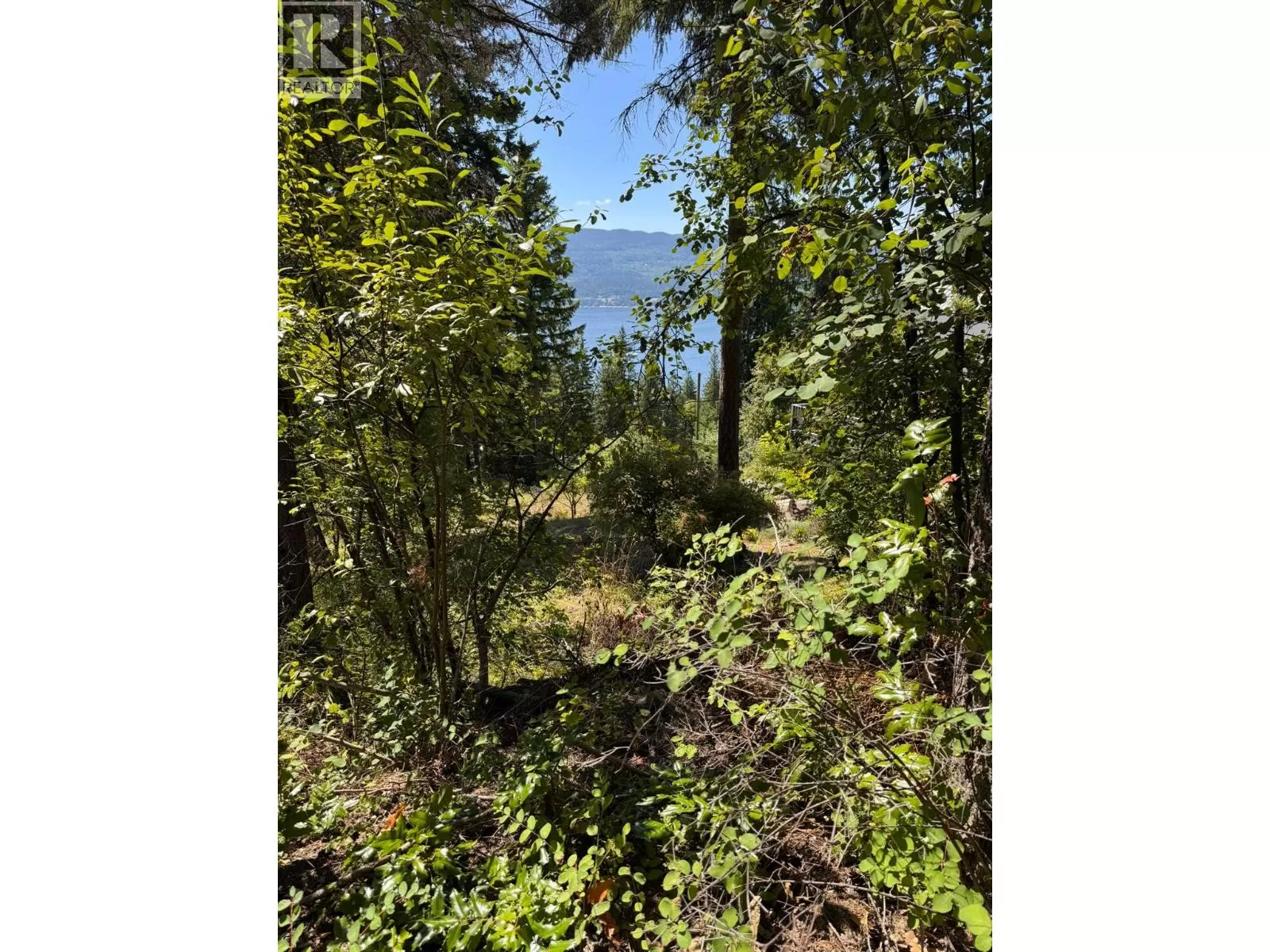 Other for rent: Lonneke Trail Lot# 52, Anglemont, British Columbia V0E 1M8