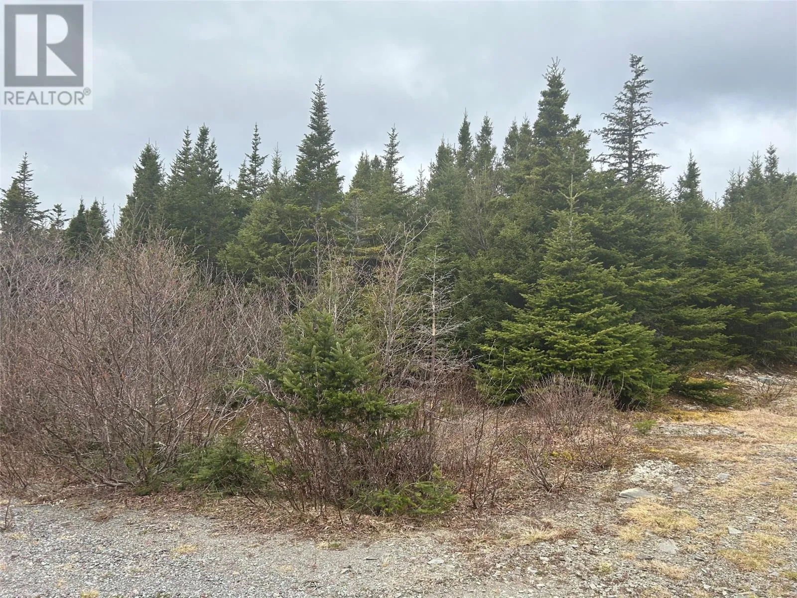 Lot #01 Slate Mine Road, Burgoynes Cove, Newfoundland & Labrador A0C 1G0