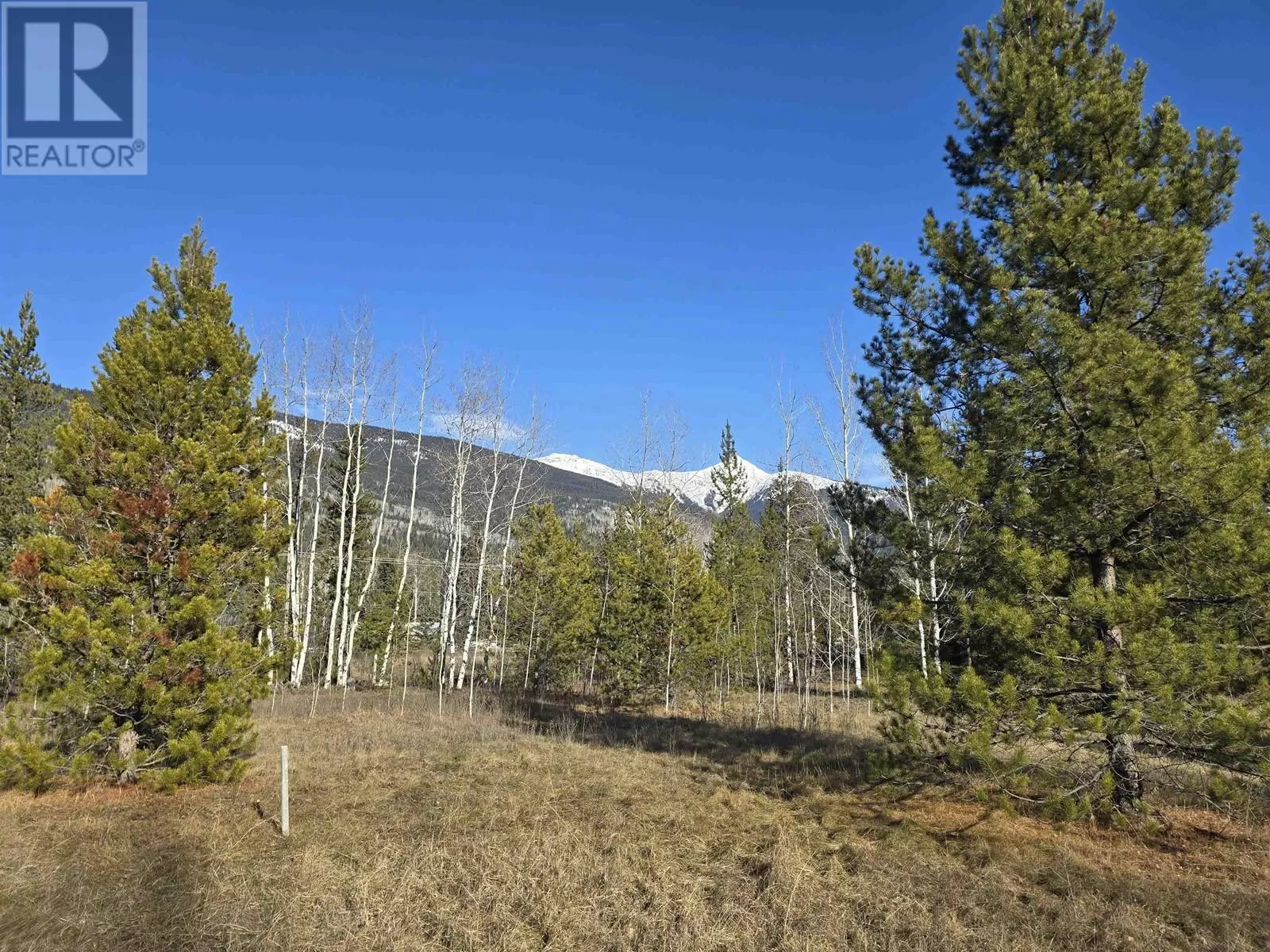 Lot 1 13th Avenue, Valemount, British Columbia V0E 2Z0