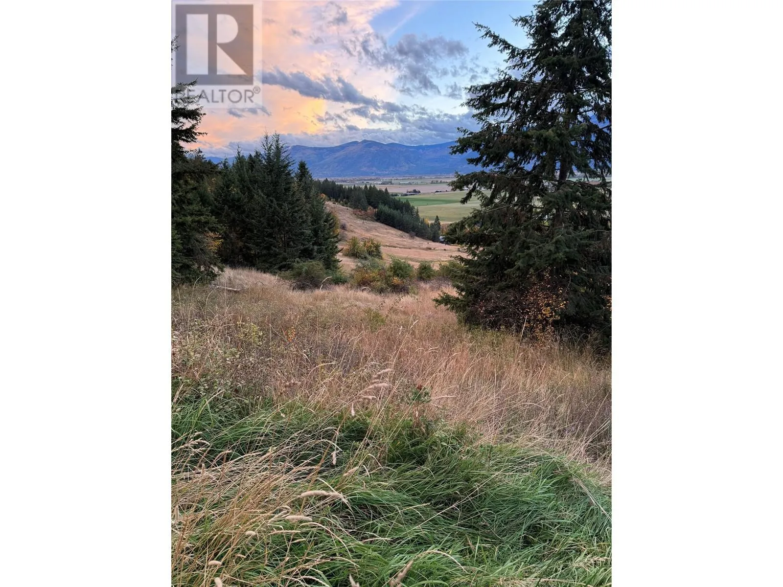 Other for rent: Lot 1 3a Highway, Wynndel, British Columbia V0B 2N1