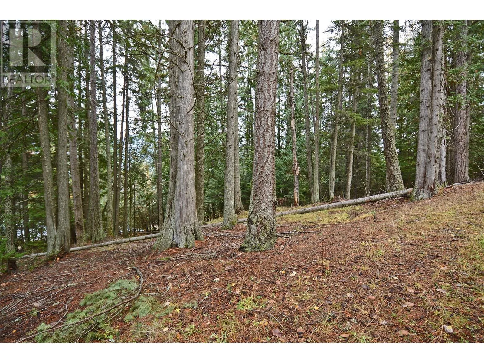 Other for rent: Lot 1 Bedford Road, Nelson, British Columbia V1L 6X7