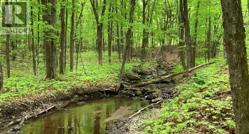 Lot 1 Colonial Road, Minden, Ontario K0M 2K0