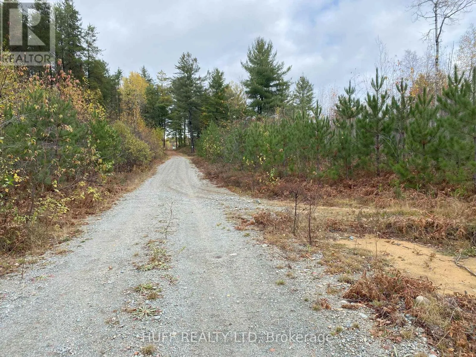 Lot 1 Con 5 Marter 54r-6396 Road, Englehart, Ontario P0J 1H0