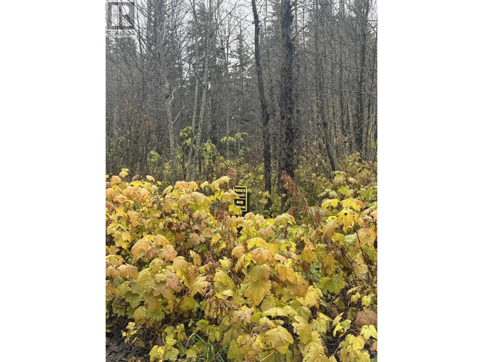 Lot 1 Dl 1716 Kilby Road, Terrace, British Columbia V8G 0E1