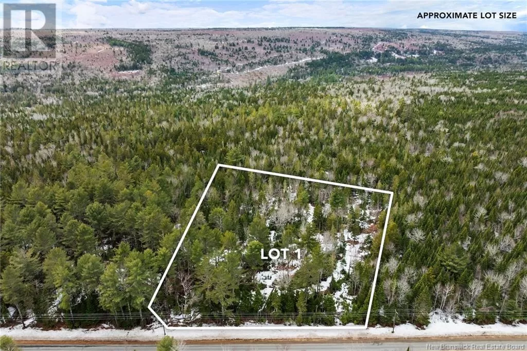 Lot 1 English Settlement Road, Taymouth, New Brunswick O0O 0O0