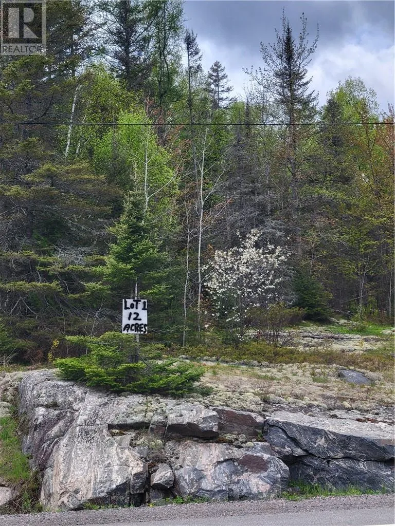 Lot 1 Hwy 535, Noelville, Ontario P0M 2N0
